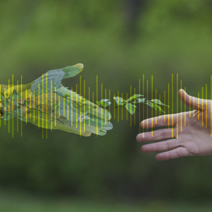 Sustainability Drones – Pioneering a Greener Future through Aerial Intelligence